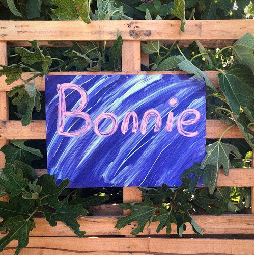 Salibu Macey - Bonnie